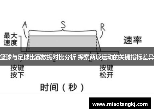 篮球与足球比赛数据对比分析 探索两项运动的关键指标差异